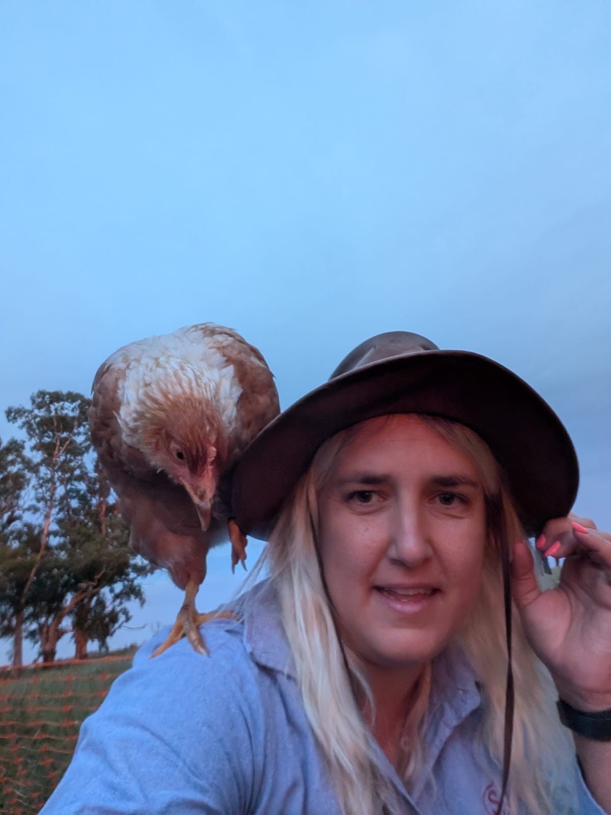 Ana en la granja